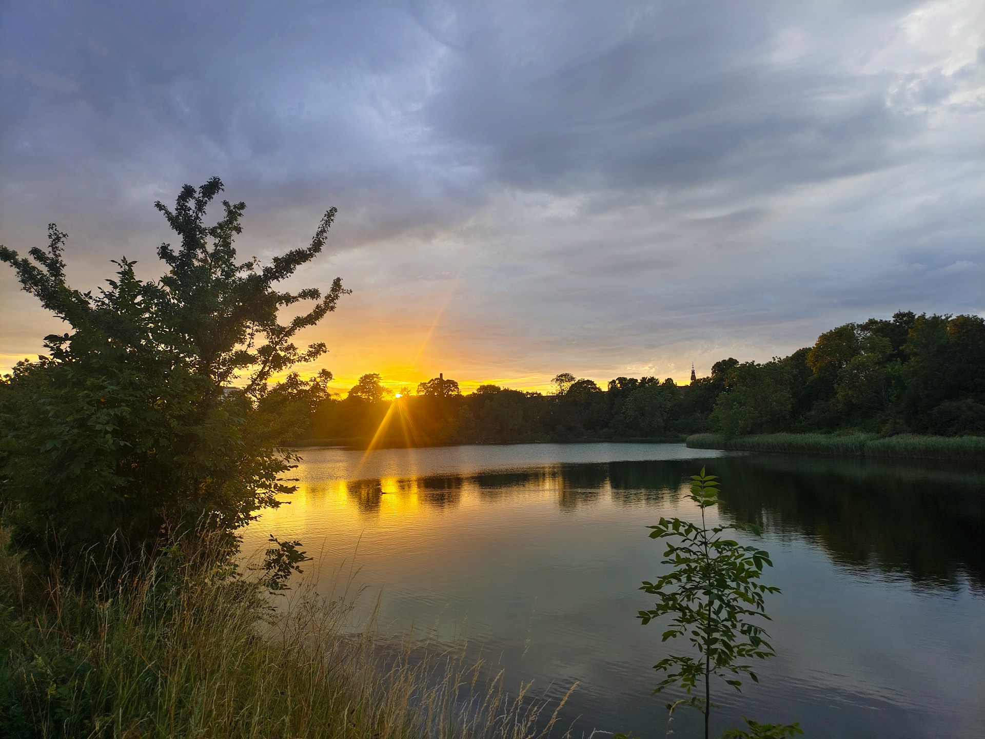 Dansk natur